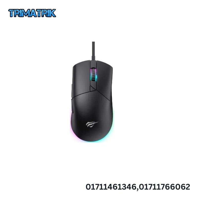 HAVIT MS1038 Best RGB Gaming USB Mouse