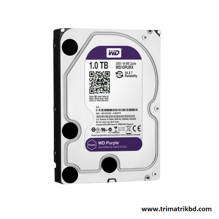 Western Digital 1TB Surveillance Hard Disk